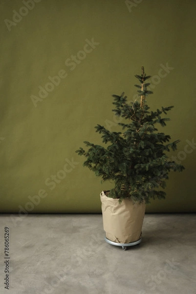 Obraz tree in a vase