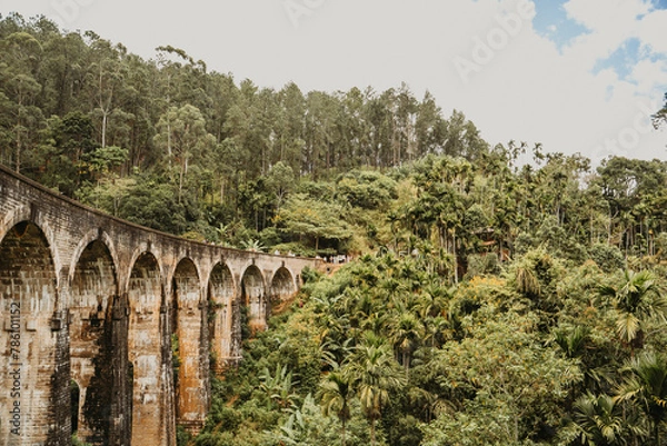 Fototapeta view of the Nine Arch Bridge, also called Bridge in the Sky, near Ella in SRI LANKA