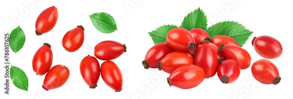 Obraz Rose hip isolated on a white background with full depth of field. Top view. Flat lay.