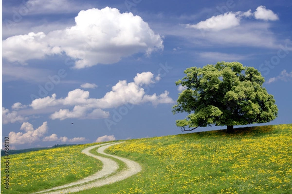 Fototapeta Weg zur Ruhe