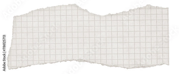 Fototapeta Vintage Torn Graph Paper Texture. Decorative White Ripped paper for planner, notebook, journal