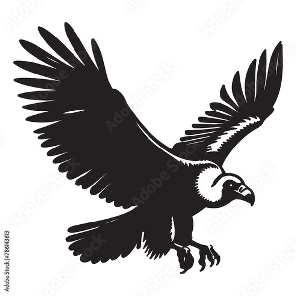 Fototapeta Condor bird, black silhouette on a transparent background, vector drawing for stencil, print..