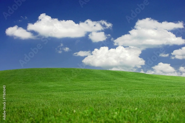 Fototapeta Mown grass hills under a dreamy sky