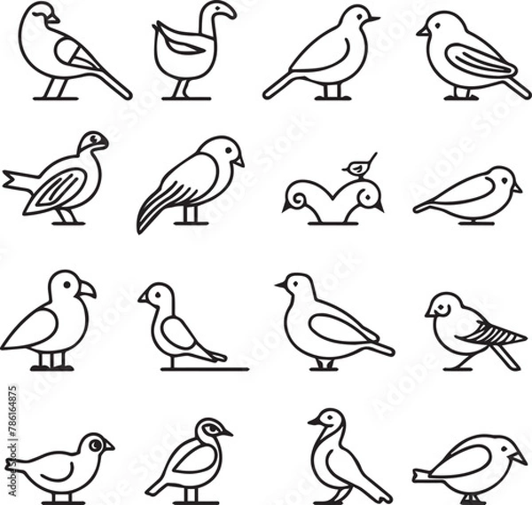 Fototapeta pattern with birds