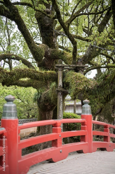 Obraz 福岡県 / 太宰府天満宮