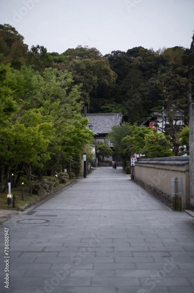 Obraz 福岡県 / 太宰府天満宮