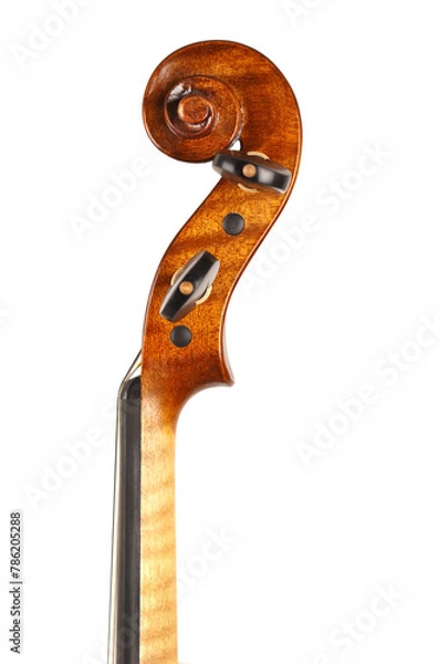 Obraz violino
