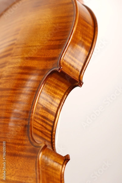 Obraz violino
