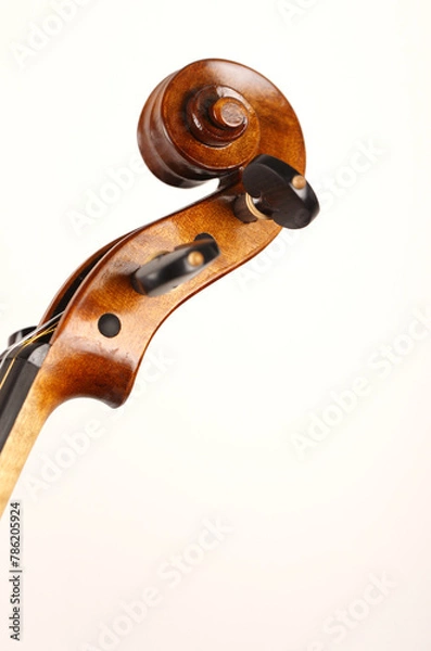 Obraz violino
