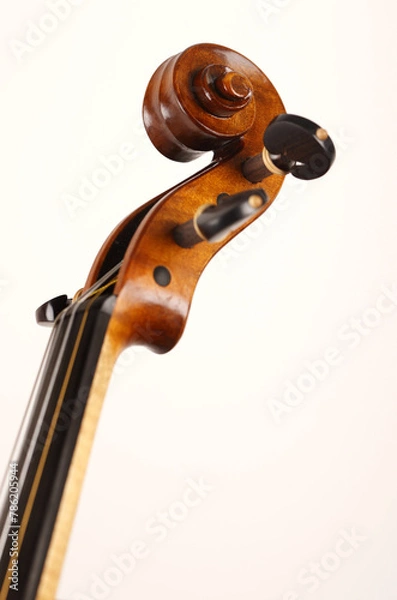 Obraz violino
