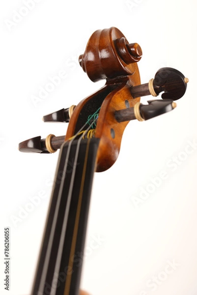 Obraz violino
