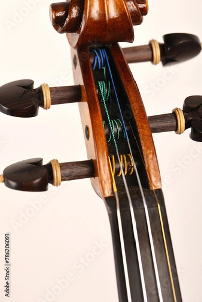 Obraz violino
