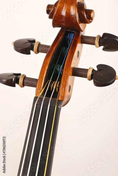 Obraz violino
