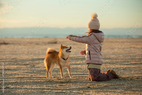 Obraz A young girl with a dog in nature. Kid girl playing with a shiba inu dog on the beach at sunset in Greece in winter