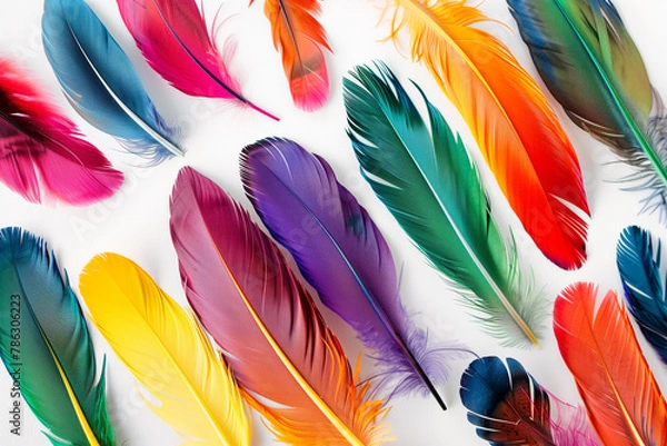 Fototapeta background with colorful feathers, top view