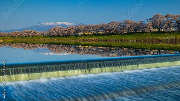 Obraz 白石川堤一目千本桜　韮神堰　絶景