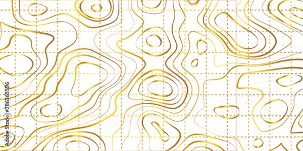 Fototapeta The stylized height of the topographic map contour in lines and contours. The concept of a conditional geography scheme and the terrain path. Golden lines on a white background. Vector illustration.
