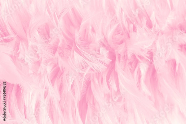 Obraz Beautiful soft pink bird feathers pattern texture background.