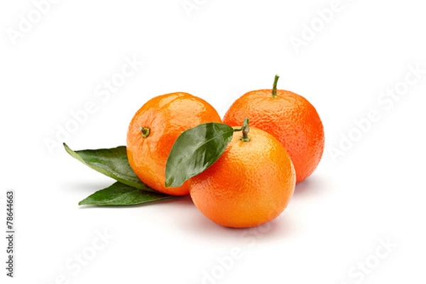 Obraz mandarines on white background