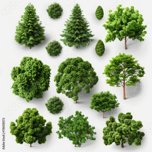 Fototapeta Collection of 3d cartoon clipart green trees isolated on white and transparent background (Generative Ai)