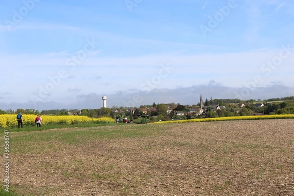 Obraz Houssay et les colzas