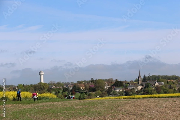 Obraz Houssay et les colzas