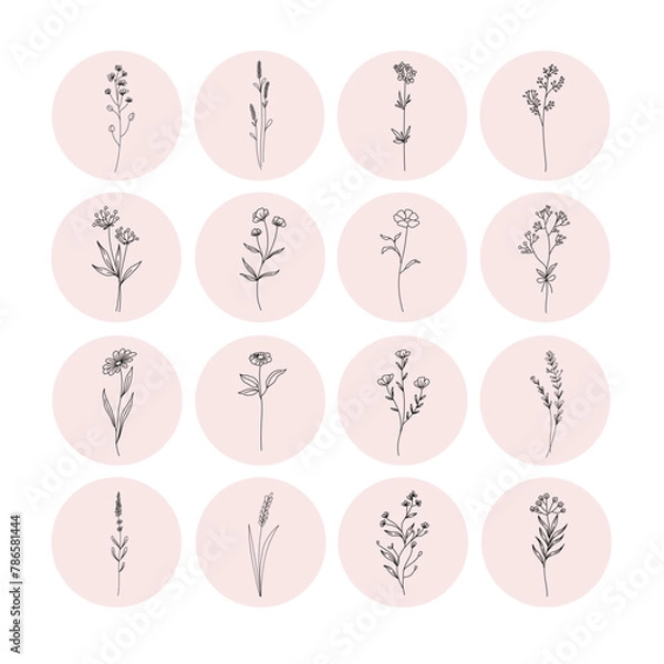 Fototapeta hand drawn vector set flower icons templates in circles, - social media story highlights cover illustrations in trendy linear style	