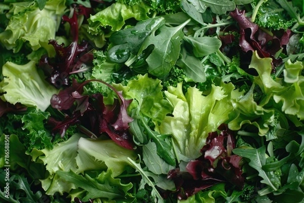 Fototapeta Close up of a healthy salad with fresh lettuce and greens. Perfect for food and health-related projects