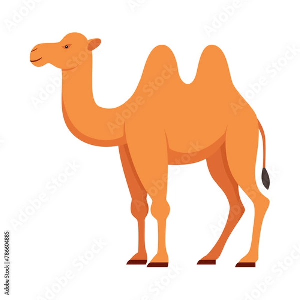 Obraz Flat illustration of camel on isolated background