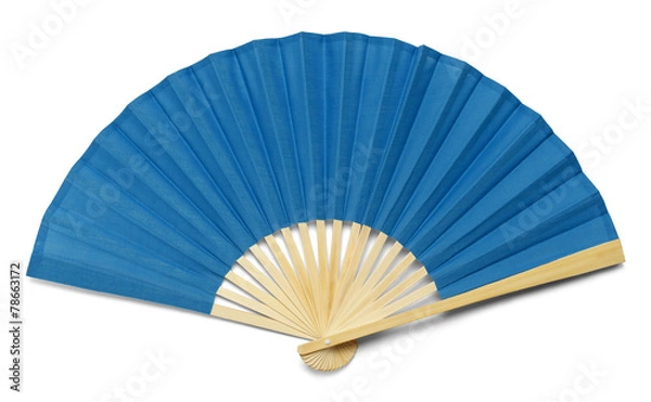 Obraz Blue Fan