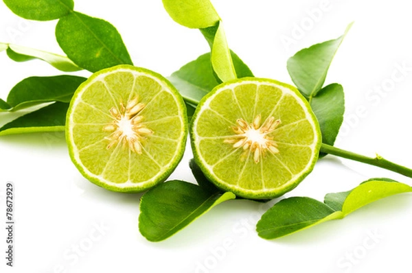 Obraz Kaffir lime fresh isolated.