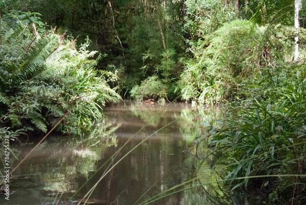 Obraz Mantiqueira 22