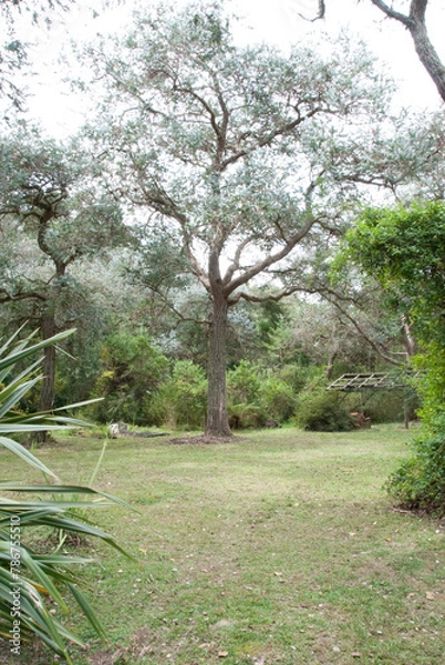 Obraz Mantiqueira 10