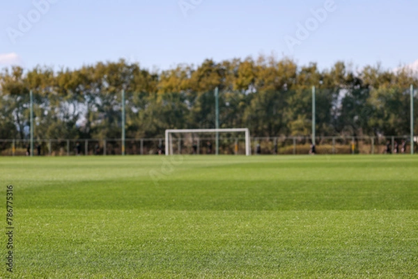 Obraz 天然芝とサッカーゴール