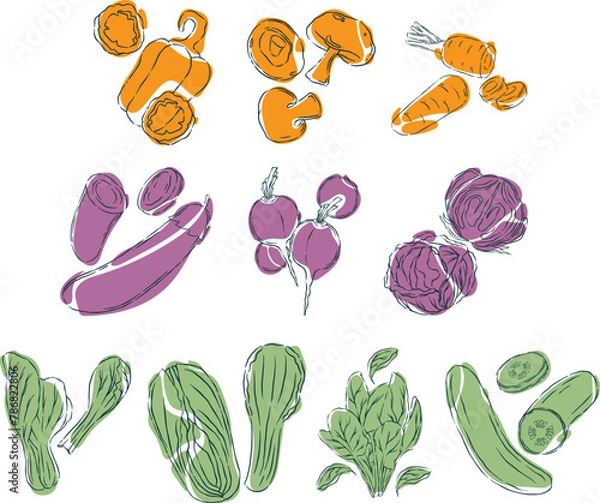 Fototapeta Vegetable Illustration