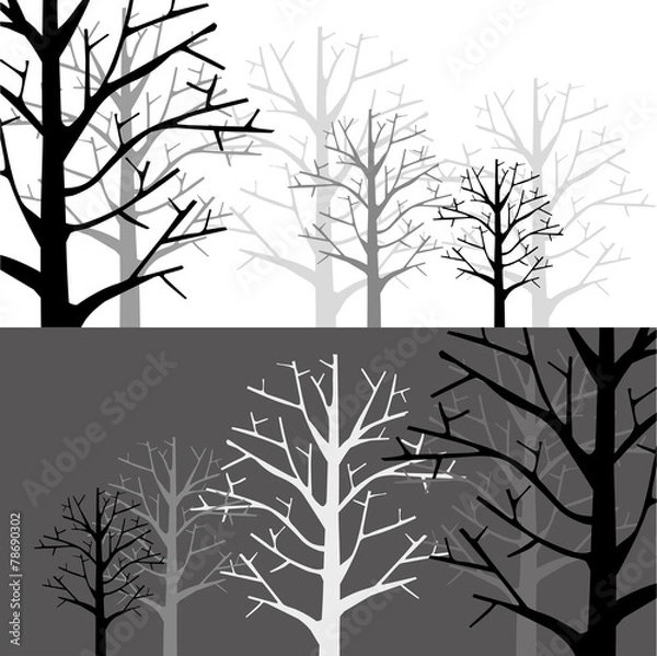 Obraz Forest in two Monotone