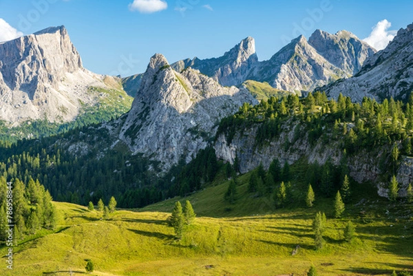 Obraz Summer view of the Dolomites Mountain in sunny day near Falzarego Pass with the forest of pine trees in Italy