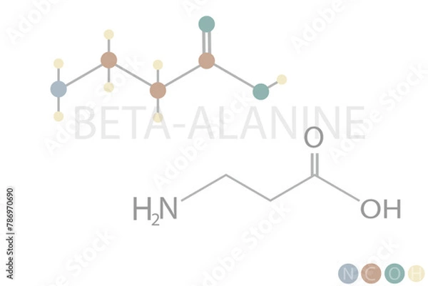 Fototapeta beta alanine molecular skeletal chemical formula