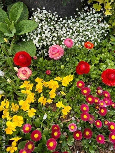 Obraz 아름다운 봄의 꽃