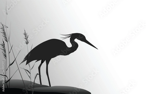 Fototapeta Heron in the thickets of reeds stands next to a group of stones. Silhouette vector illustration.