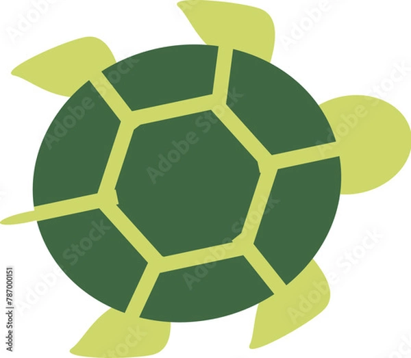 Obraz hand drawn tortoise