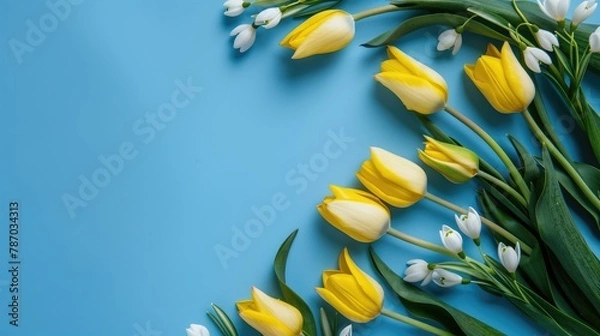 Fototapeta Solid color background, tulips, white space view.
