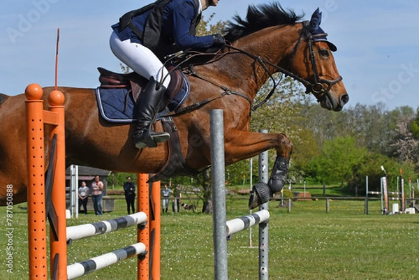 Fototapeta saut d'obstacle daans un concours hippique