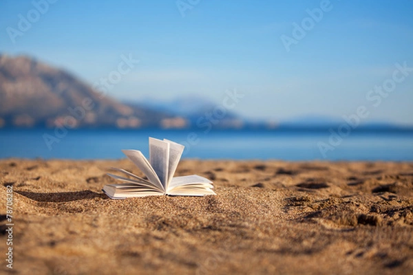 Obraz Book on a beach