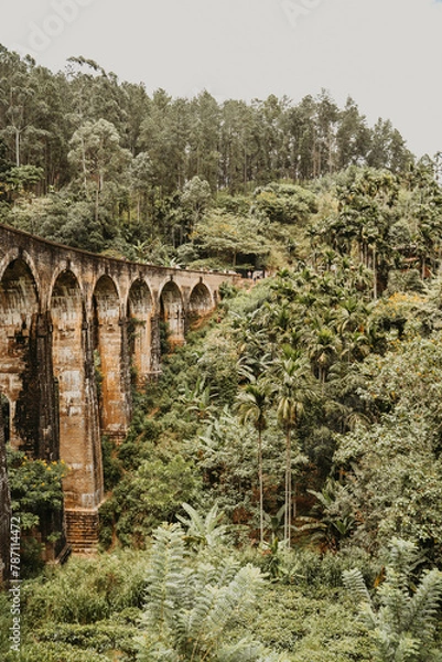 Fototapeta view of the Nine Arch Bridge, also called Bridge in the Sky, near Ella in SRI LANKA