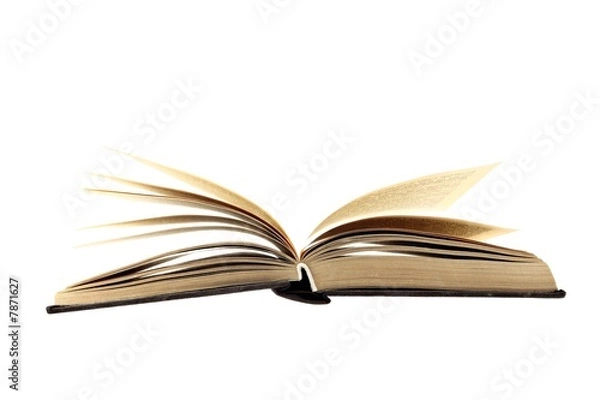 Fototapeta Old open book