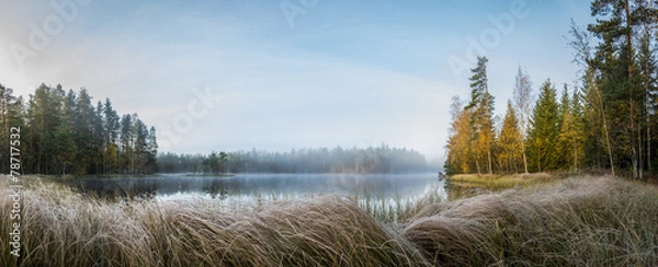 Obraz Foggy forest lake