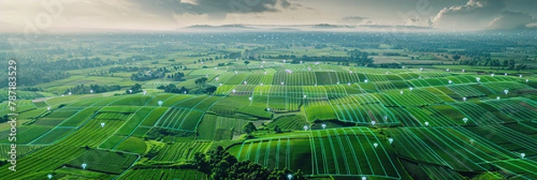 Fototapeta A smart agriculture scene with sensors and drones monitoring crop health and irrigation levels in a field.