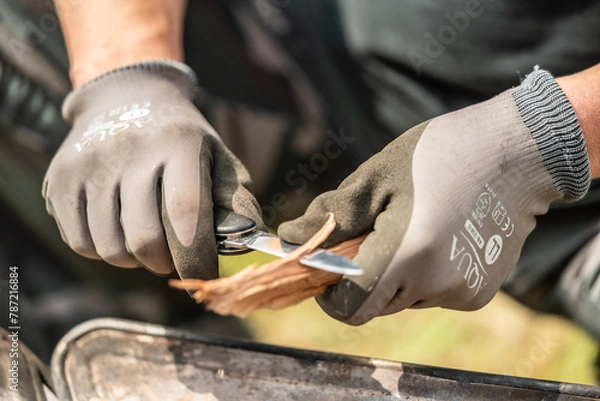 Obraz ナイフでフェザースティックを作る手元