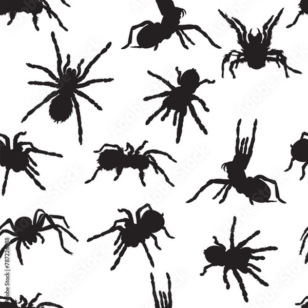 Fototapeta spider, tarantula, insect, various poses, movements and foreshortenings of figures, black, white, pattern